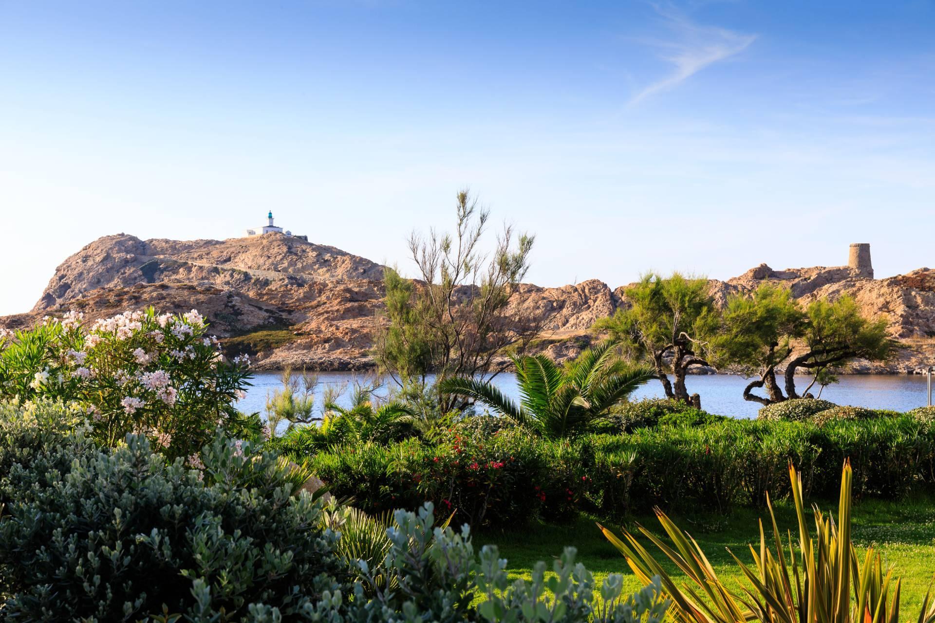 Accueil de groupes à l'Île-Rousse