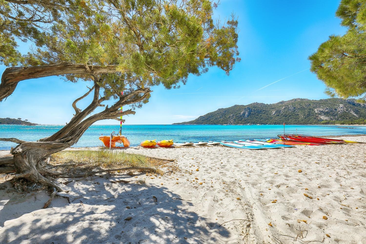 Activités nautiques